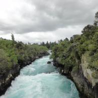 New Zealand1